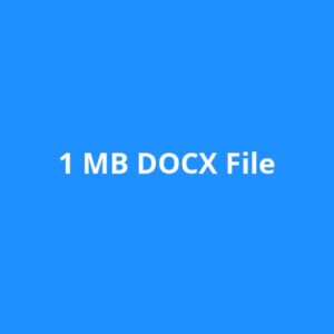 1 MB DOCX File