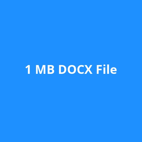 1 MB DOCX File